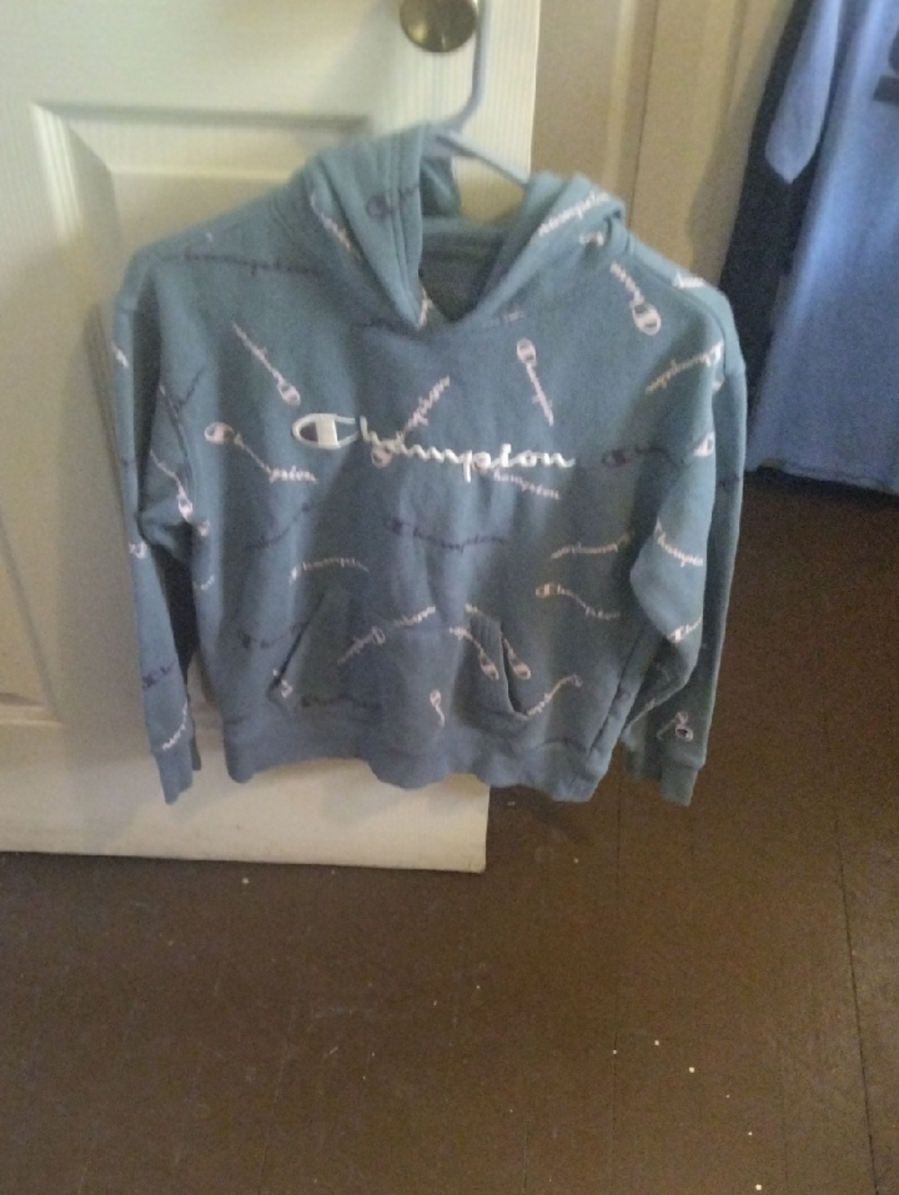 Champion Teal Hoodie with White Logo Script Allover